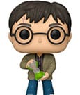 Funko Pop! Harry Potter & the Half-Blood Prince (180)
