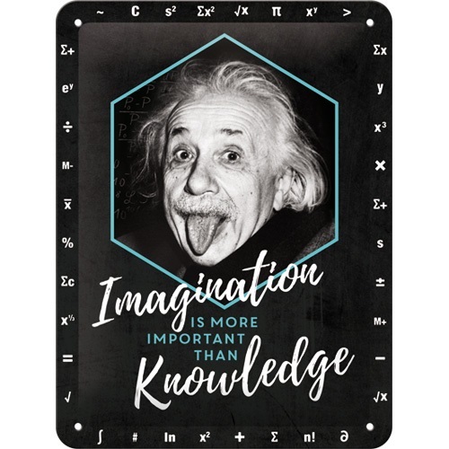 Tin Sign 15 x 20 cm Einstein / Imagination & Knowledge